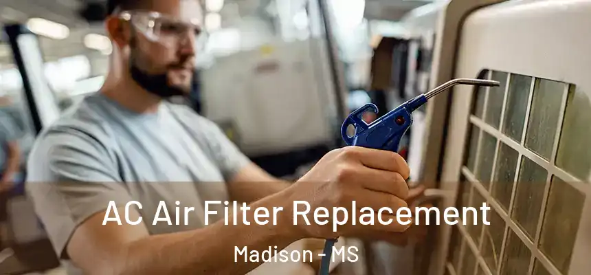  AC Air Filter Replacement Madison - MS