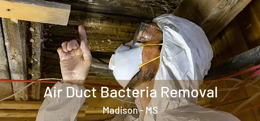 Air Duct Bacteria Removal Madison - MS