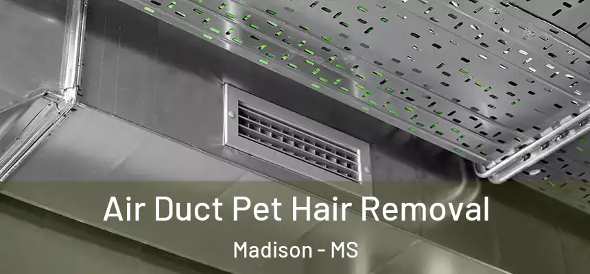 Air Duct Pet Hair Removal Madison - MS