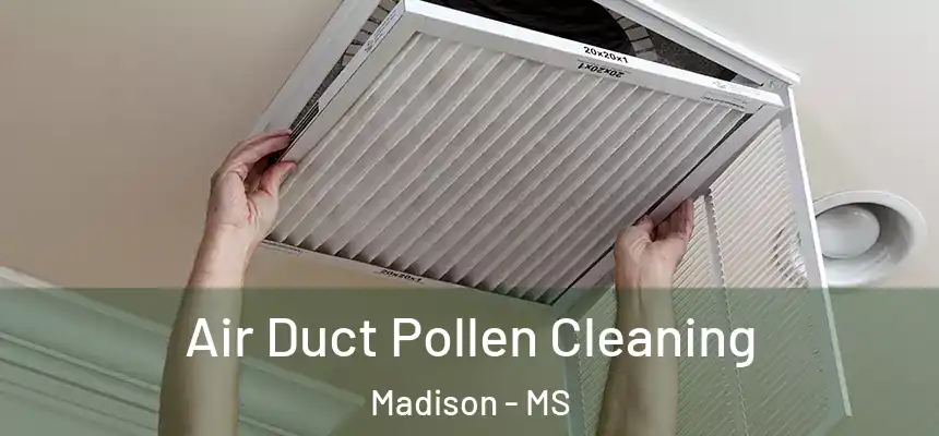Air Duct Pollen Cleaning Madison - MS