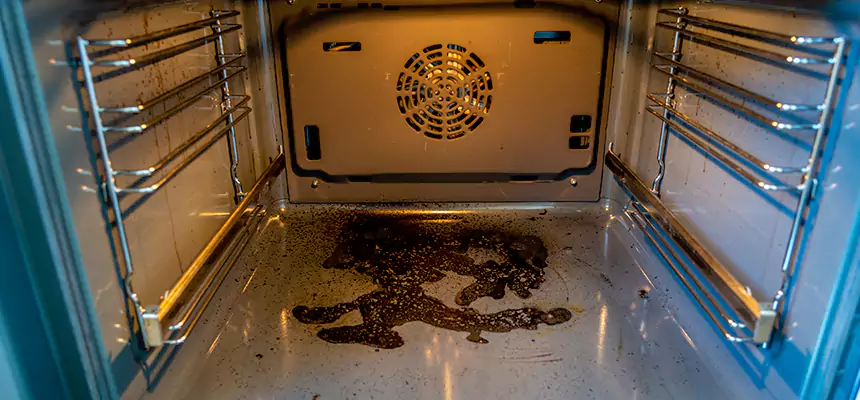 Our Dryer Vent Mold Cleaning Services in Madison, MS