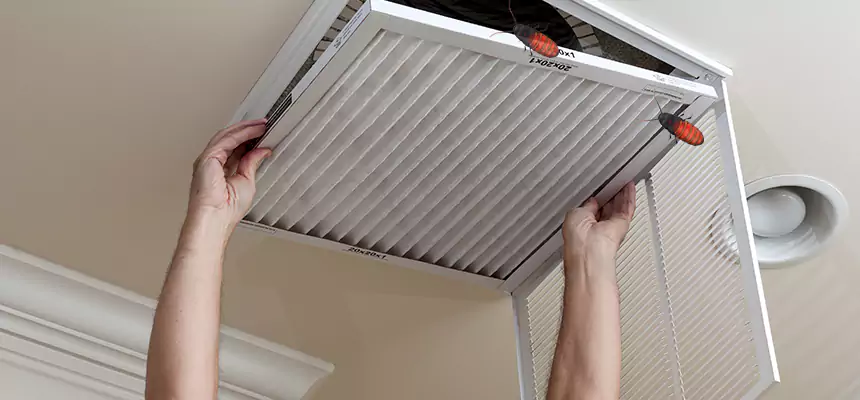 Our Insect Removal from Air Ducts Services in Madison, MS