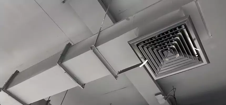 Our Rodent Droppings In Vents Services in Madison, MS