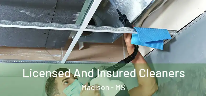 Licensed And Insured Cleaners Madison - MS