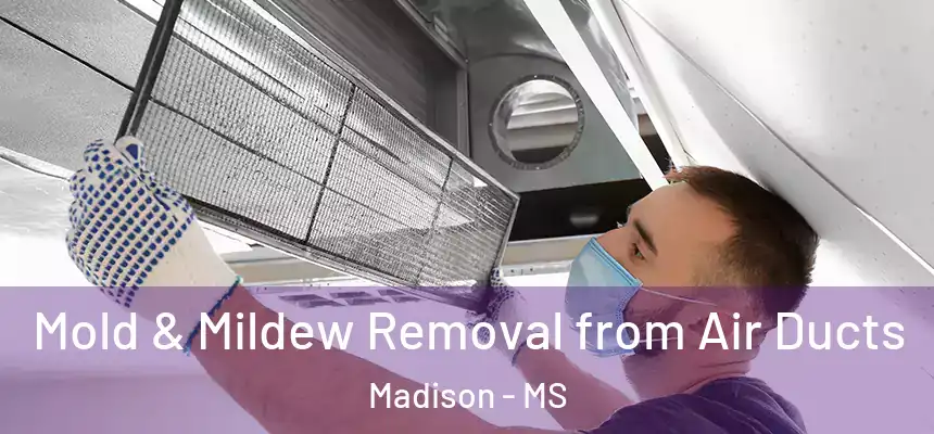  Mold & Mildew Removal from Air Ducts Madison - MS