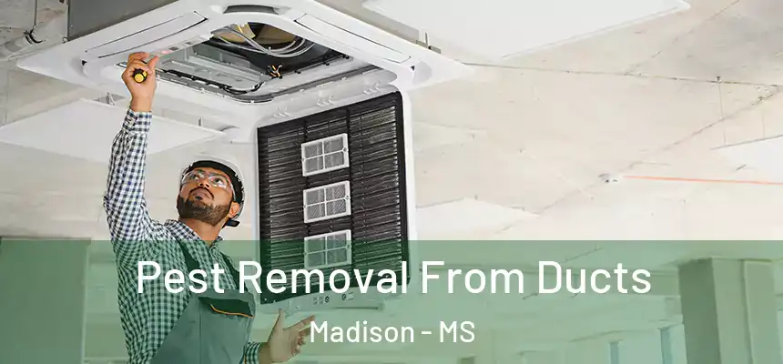 Pest Removal From Ducts Madison - MS
