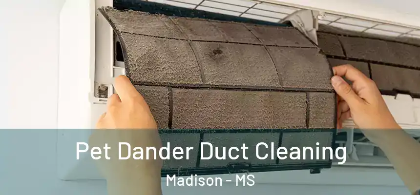 Pet Dander Duct Cleaning Madison - MS