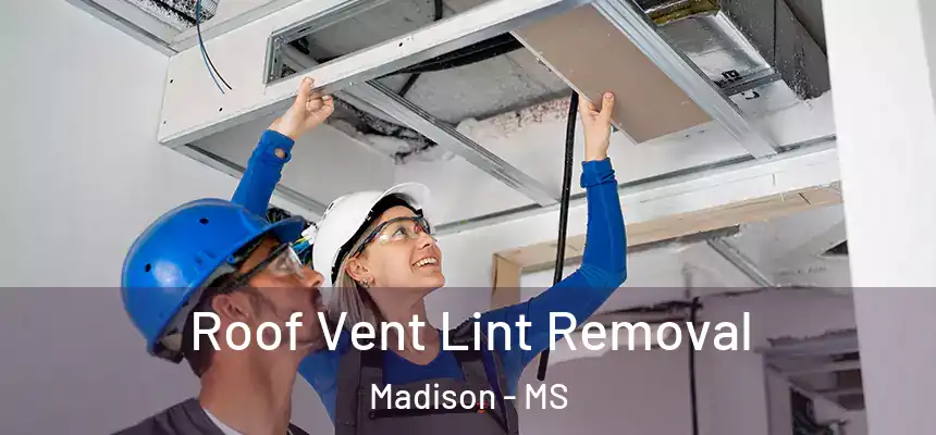  Roof Vent Lint Removal Madison - MS