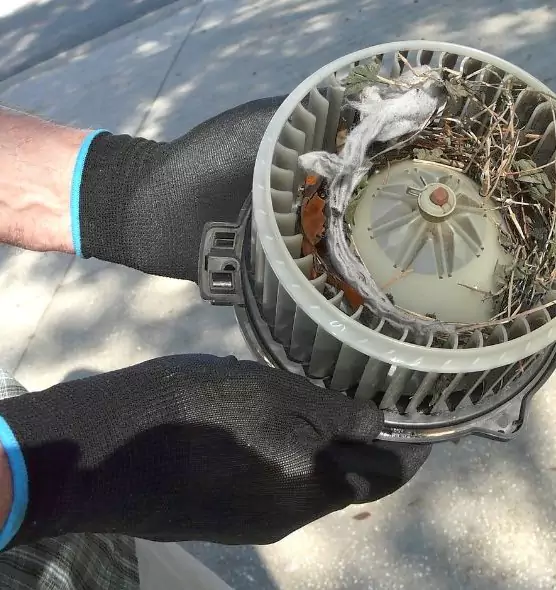 About Air Duct Mice Removal in Madison, MS