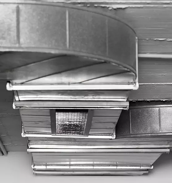 Professional Air Duct Pest Removal in Madison, MS