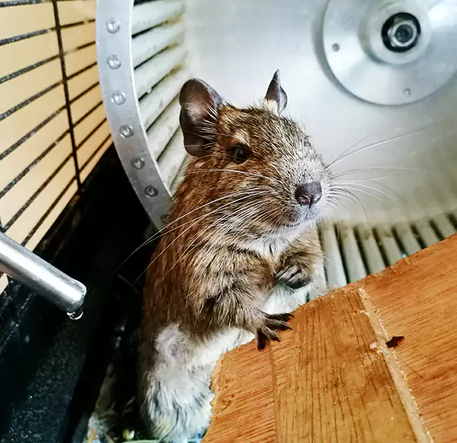 Why Homeowners & Businesses Trust Us Madison, MS?