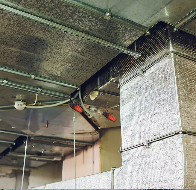 Why Homeowners & Businesses Trust Us Madison, MS?