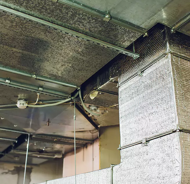 Why Homeowners & Businesses Trust Us in Madison, MS?